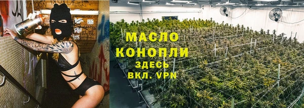apvp Няндома