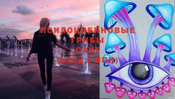 ГАЛЛЮЦИНОГЕННЫЕ ГРИБЫ Новодвинск