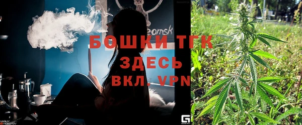 соль ск Богородицк