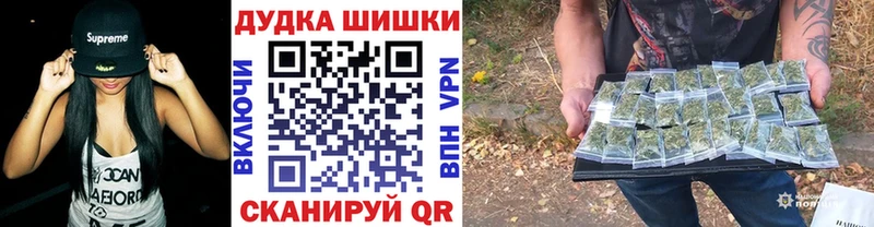 Конопля сатива  магазин продажи наркотиков  Кадников 