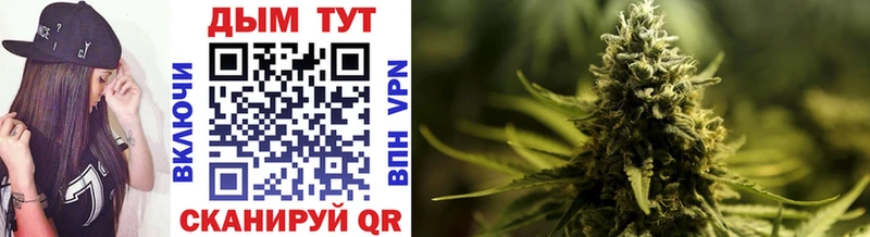Бошки марихуана THC 21% Кадников